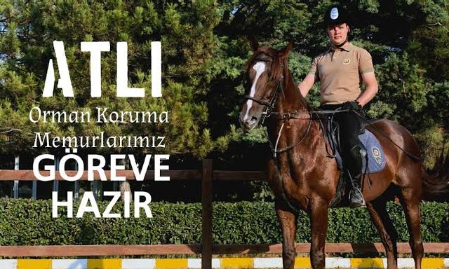 ATLI ORMAN MUHAFAZA MEMURLARININ AKIBETİ