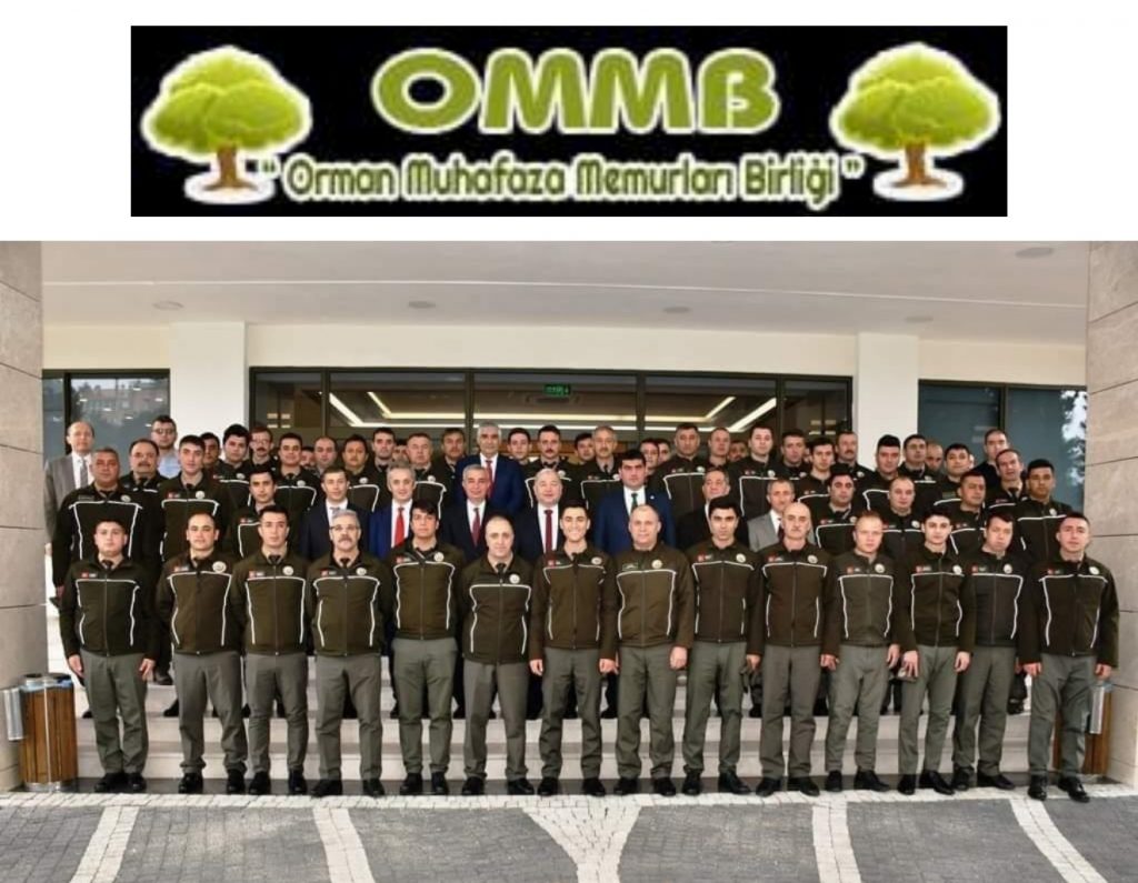 ORMANCILIK MESLEK YÜKSEK OKULLARI NEDEN VAR?