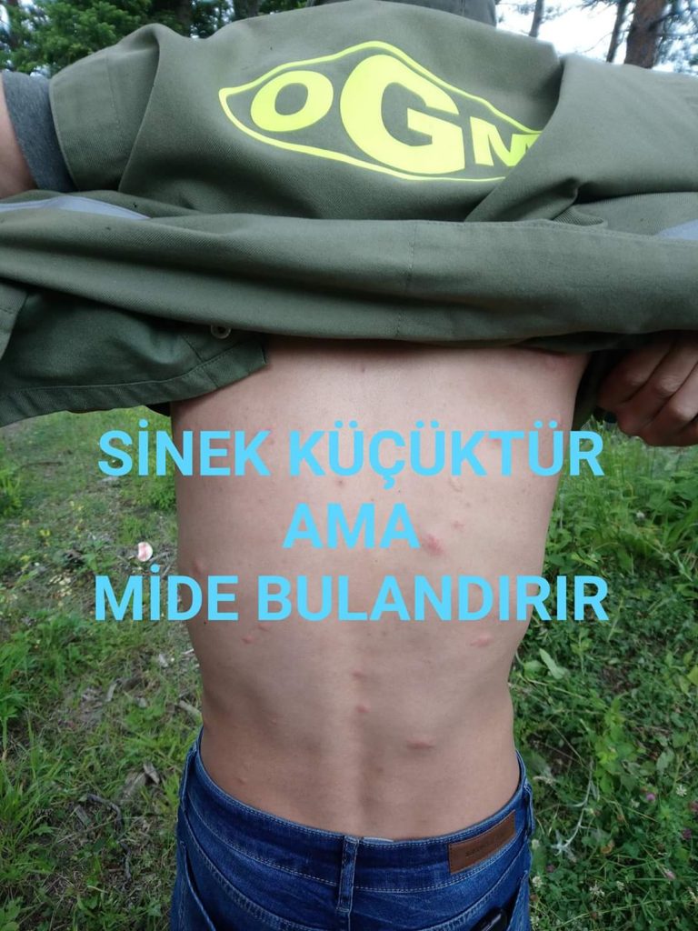 ORMAN MUHAFAZA MEMURLARI NEDEN HALÂ GİH KADROSUNDA GÖREV YAPAR?