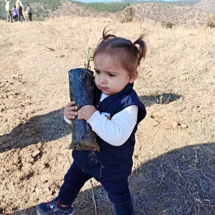 Milli Ağaçlandırma Günü