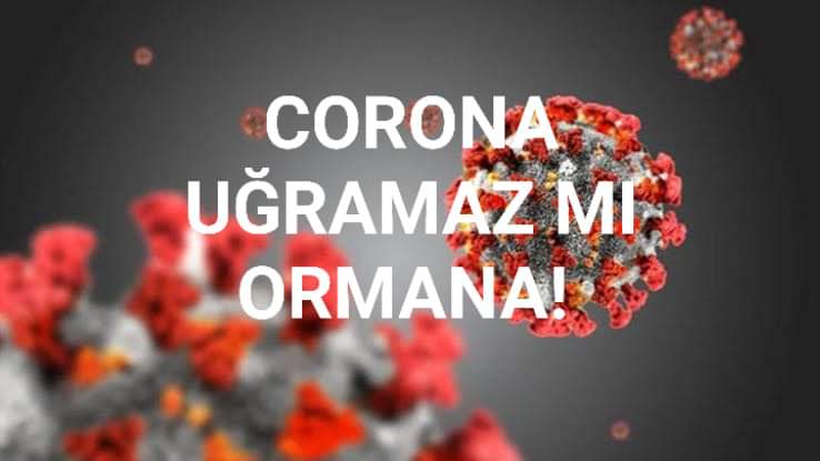 CORONA UĞRAMAZ MI ORMANA