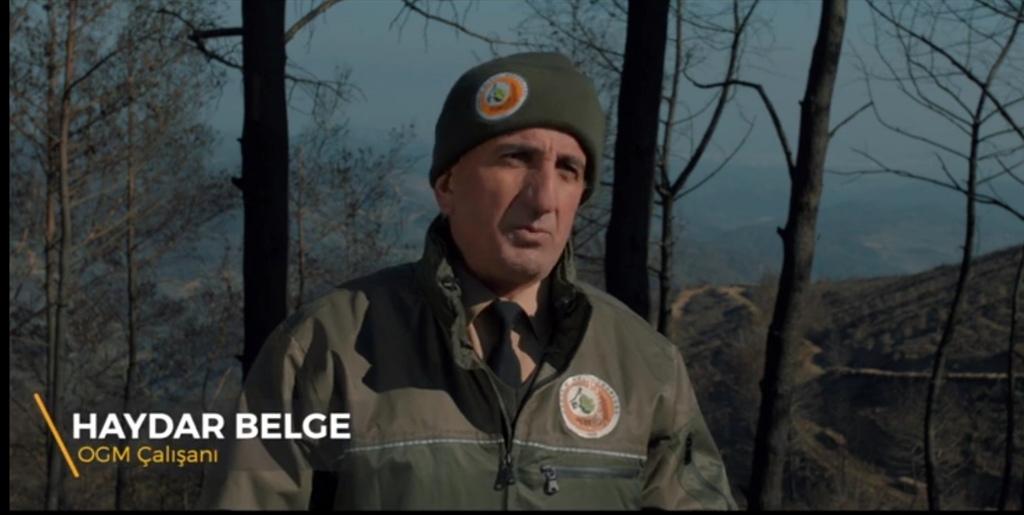 Ormanın Kahramanları