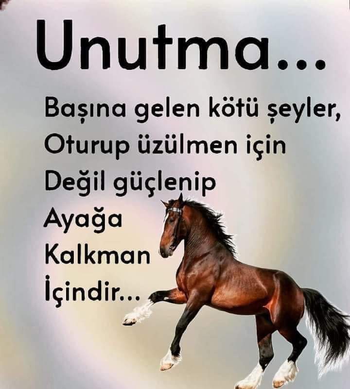 Karar Sizin!