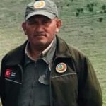 Başımız Sağolsun…