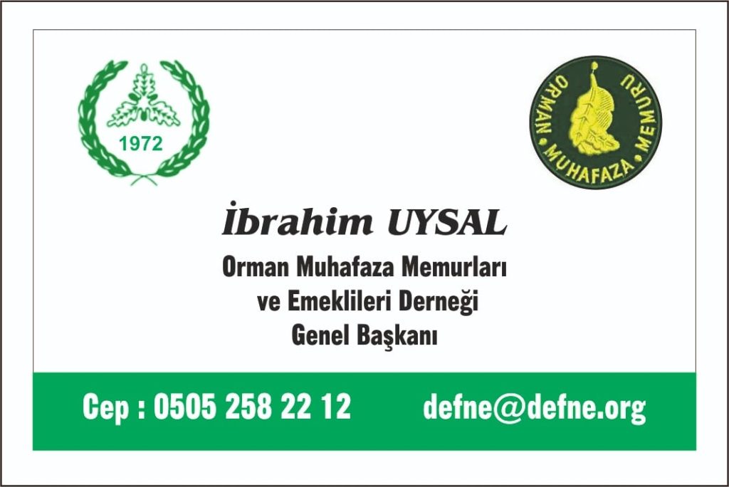OMM DERNEĞİNİN 45 GÜNLÜK FAALİYETİ